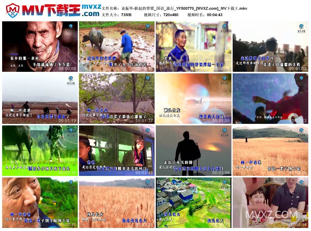 袁振华-挺起的脊梁_国语_流行_YF500770